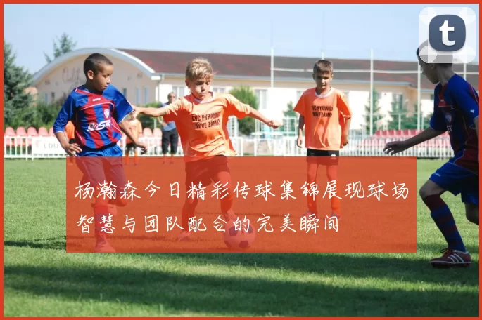 杨瀚森今日精彩传球集锦展现球场智慧与团队配合的完美瞬间